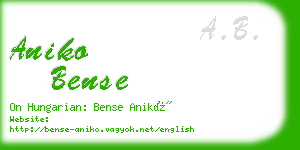 aniko bense business card